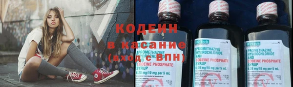 прущий лед Алзамай