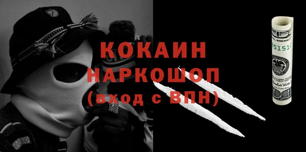 прущий лед Алзамай