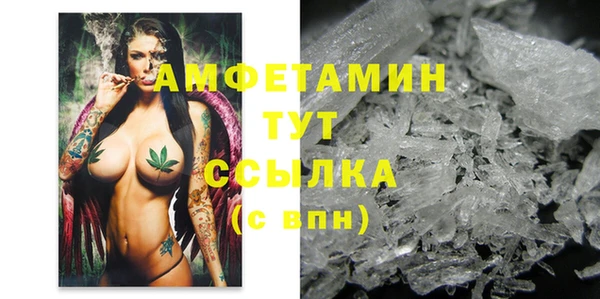 прущий лед Алзамай